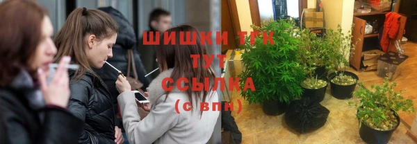 сатива Аркадак