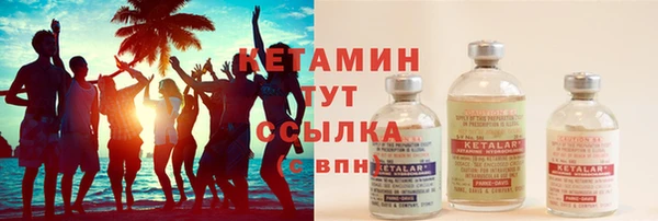 сатива Аркадак