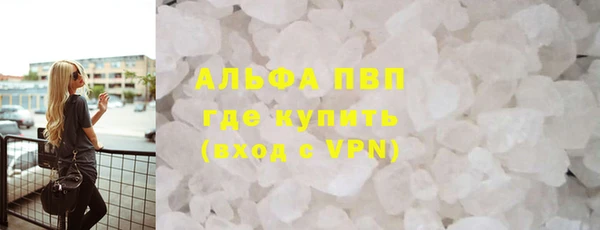 сатива Аркадак