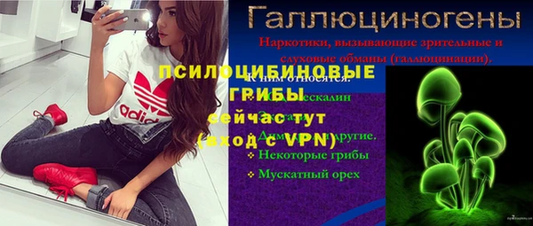 сатива Аркадак