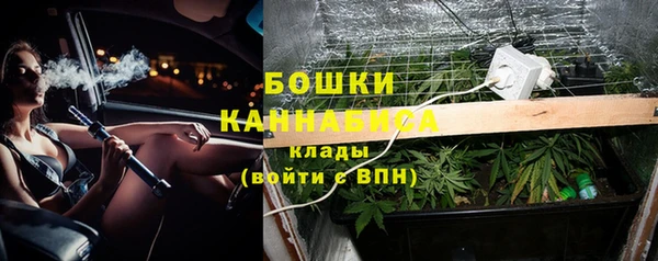 сатива Аркадак