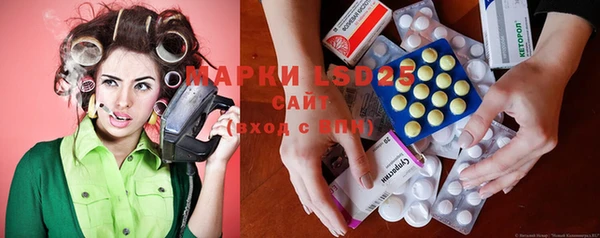 сатива Аркадак