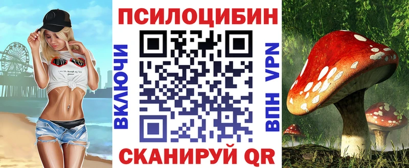 OMG зеркало  Миньяр  Псилоцибиновые грибы GOLDEN TEACHER 